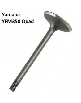 Ventil sací OCEĽOVÝ Yamaha YFM 350 Quad