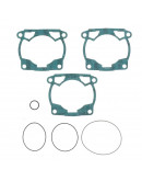 Sada tesnení pod hlavu a valec KTM/GasGas/Husqvarna 250-300 2023-2025